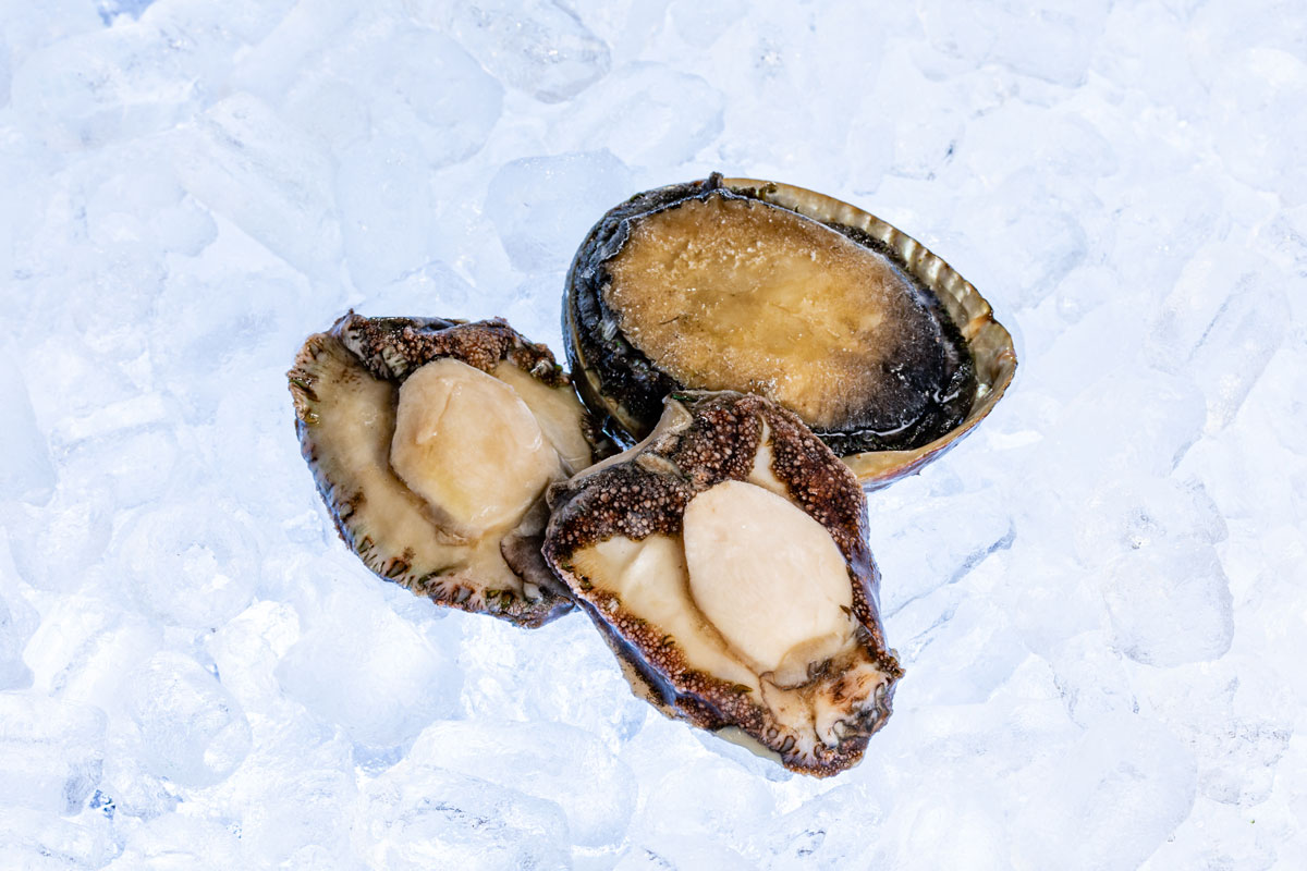 Abalone & Paua Burswood Seafood