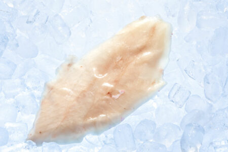 Nannygai/Bright Redfish