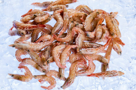 Coral Prawns