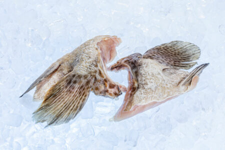 Grouper Wings