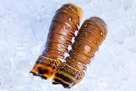 Rock Lobsters