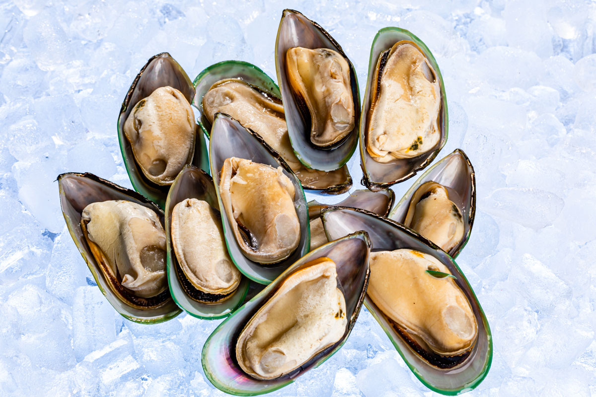 Mussels