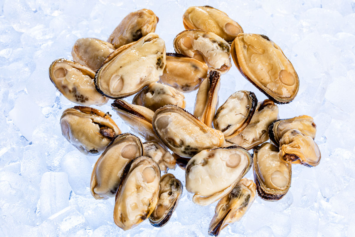 Mussels