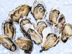 Oysters