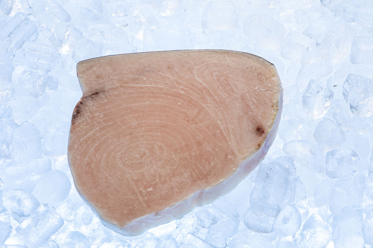 Swordfish